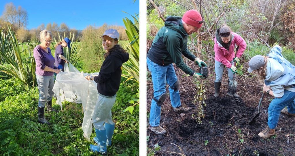 10 aniver planting Di