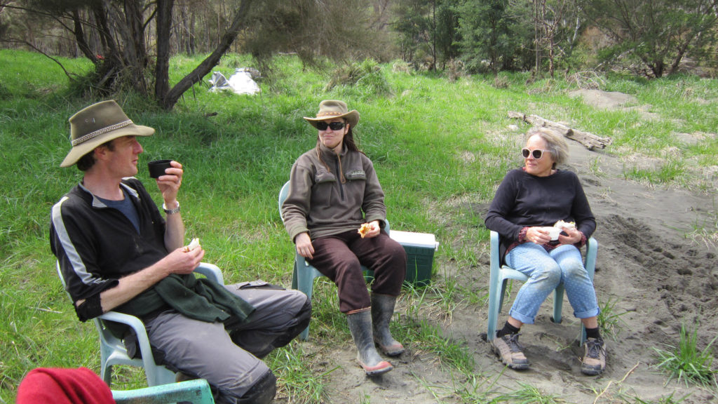 manuka-farms-time-for-a-cuppa