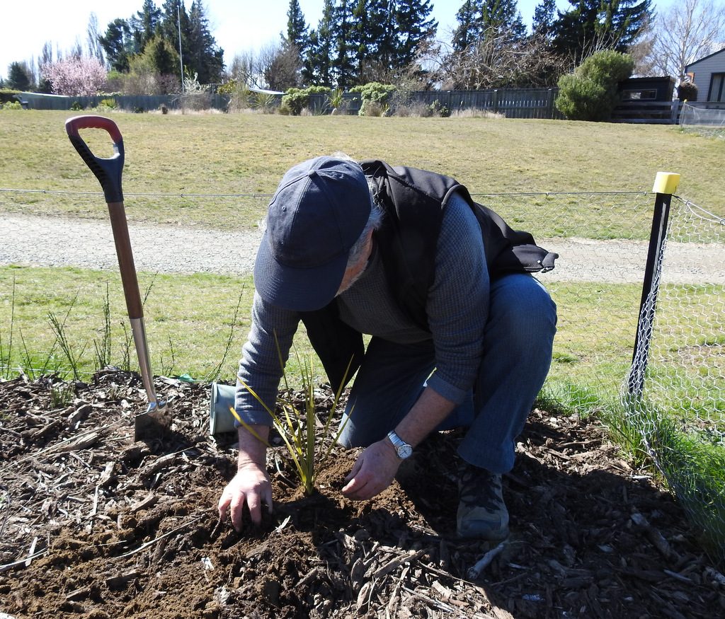 Richard planting